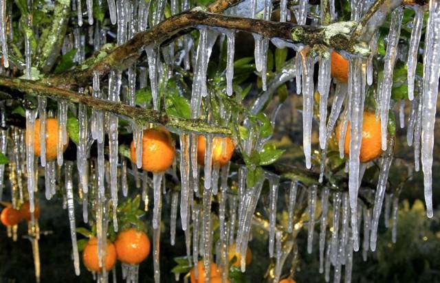 daily picdump 99 pics 38.html - 99 HD Photos | Premium Gallery 2016