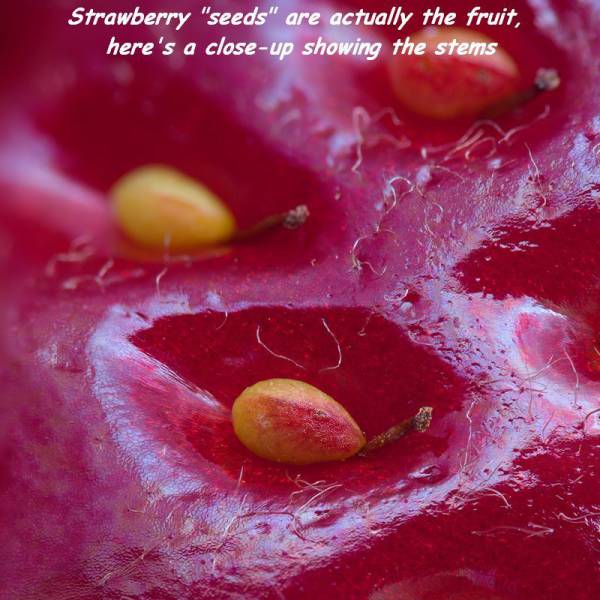 daily picdump 99 pics 38.html - 99 HD Photos | Premium Gallery 2016