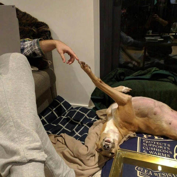 morning picdump 53 pics 26.html - 53 HD Photos | Premium Gallery 2016