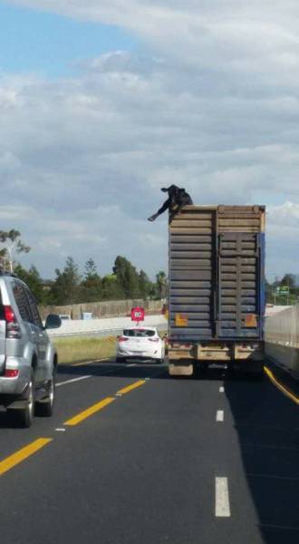 morning picdump 53 pics 26.html - 53 HD Photos | Premium Gallery 2016