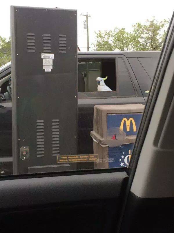 morning picdump 53 pics 26.html - 53 HD Photos | Premium Gallery 2016