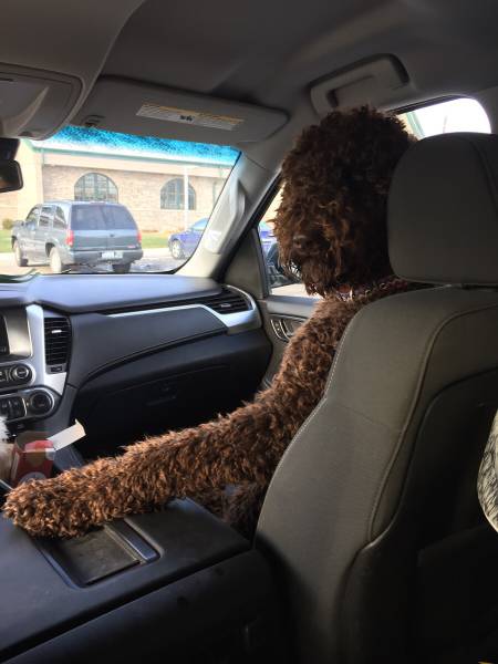 daily picdump weekend edition 52 pics 23.html - 52 HD Photos | Premium Gallery 2016