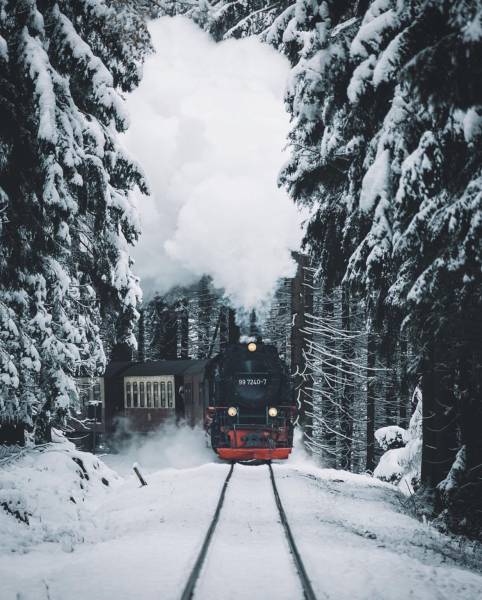 daily picdump weekend edition 52 pics 23.html - 52 HD Photos | Premium Gallery 2016