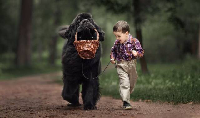 daily picdump 102 pics 22.html - 102 HD Photos | Premium Gallery 2016