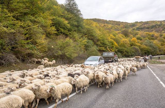 daily picdump 102 pics 22.html - 102 HD Photos | Premium Gallery 2016