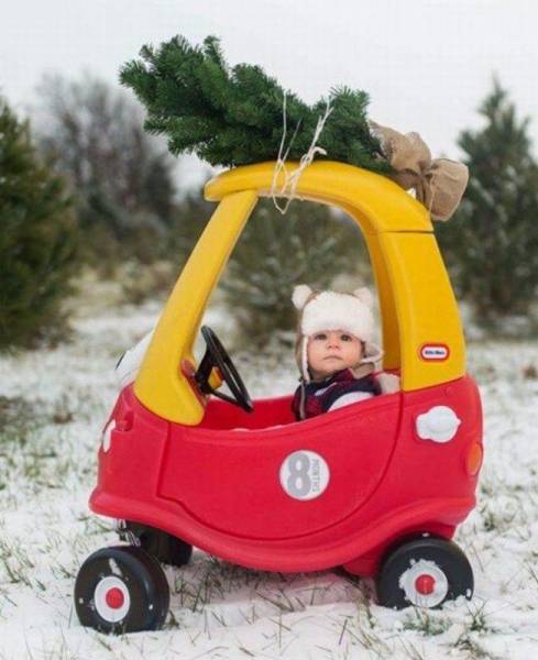 daily picdump 102 pics 22.html - 102 HD Photos | Premium Gallery 2016