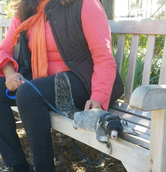 daily picdump 102 pics 22.html - 102 HD Photos | Premium Gallery 2016