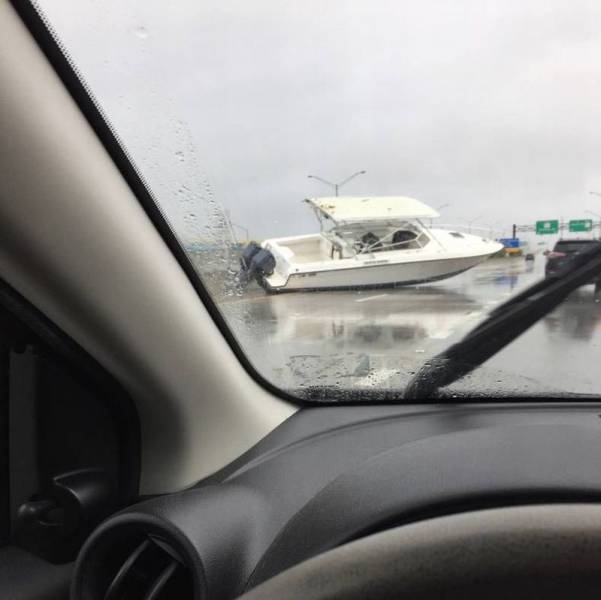 daily picdump 102 pics 22.html - 102 HD Photos | Premium Gallery 2016