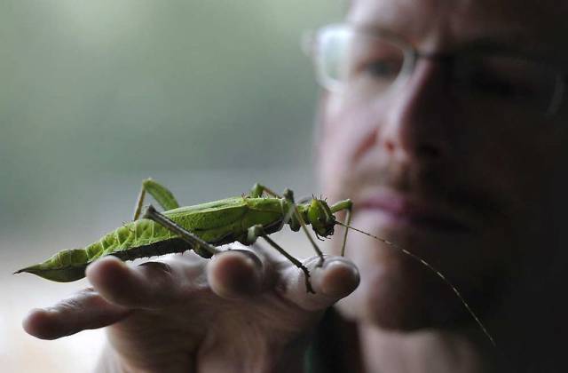 daily picdump 102 pics 22.html - 102 HD Photos | Premium Gallery 2016