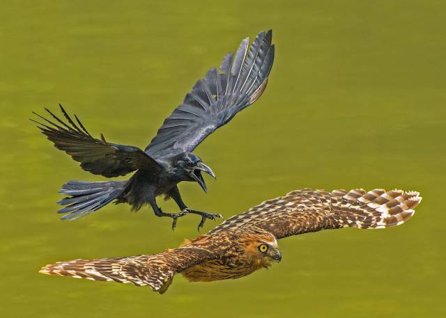 daily picdump 102 pics 22.html - 102 HD Photos | Premium Gallery 2016