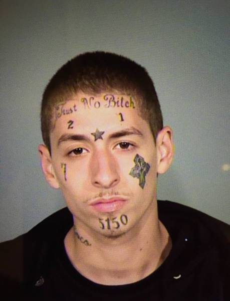 daily picdump 102 pics 22.html - 102 HD Photos | Premium Gallery 2016