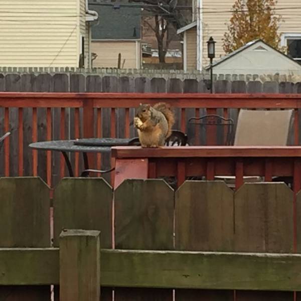 daily picdump 102 pics 22.html - 102 HD Photos | Premium Gallery 2016