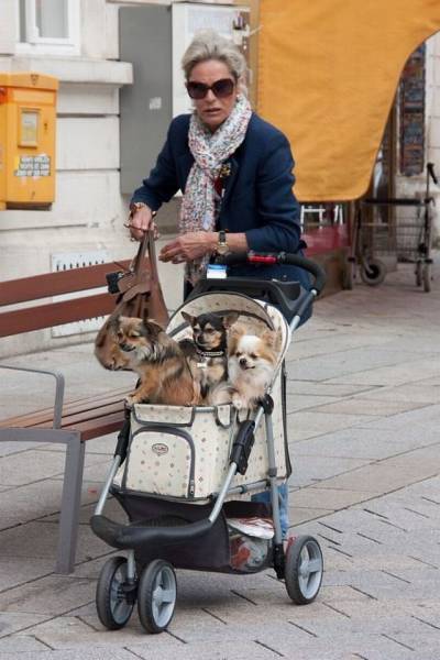 daily picdump 102 pics 22.html - 102 HD Photos | Premium Gallery 2016