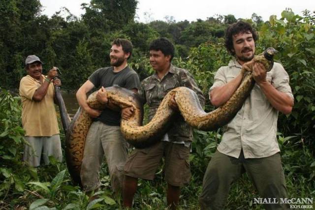 daily picdump 102 pics 22.html - 102 HD Photos | Premium Gallery 2016