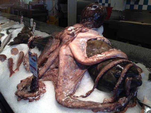 daily picdump 102 pics 22.html - 102 HD Photos | Premium Gallery 2016