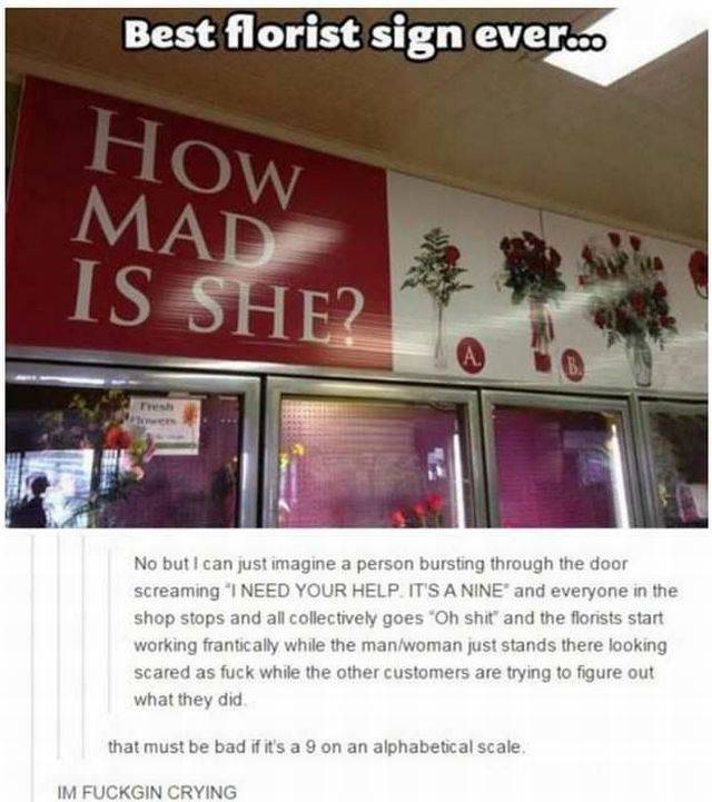 daily picdump 102 pics 22.html - 102 HD Photos | Premium Gallery 2016