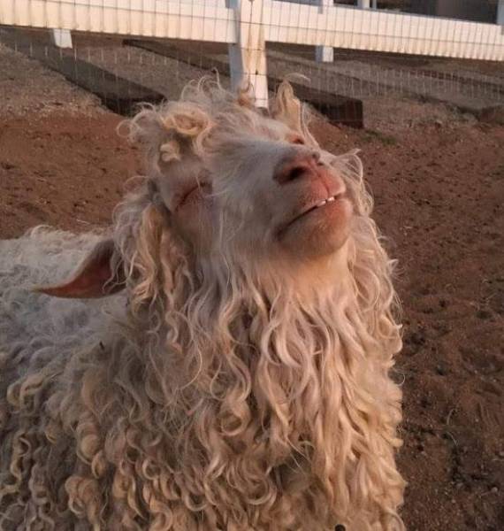 morning picdump 50 pics 18.html - 50 HD Photos | Premium Gallery 2016