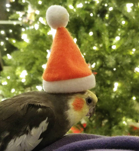 morning picdump 50 pics 18.html - 50 HD Photos | Premium Gallery 2016