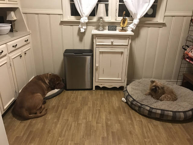 morning picdump 50 pics 18.html - 50 HD Photos | Premium Gallery 2016