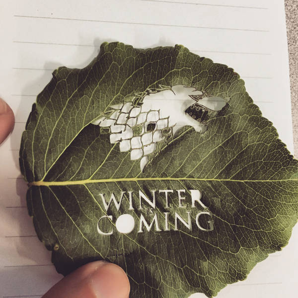 morning picdump 50 pics 18.html - 50 HD Photos | Premium Gallery 2016