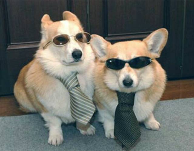 morning picdump 50 pics 18.html - 50 HD Photos | Premium Gallery 2016