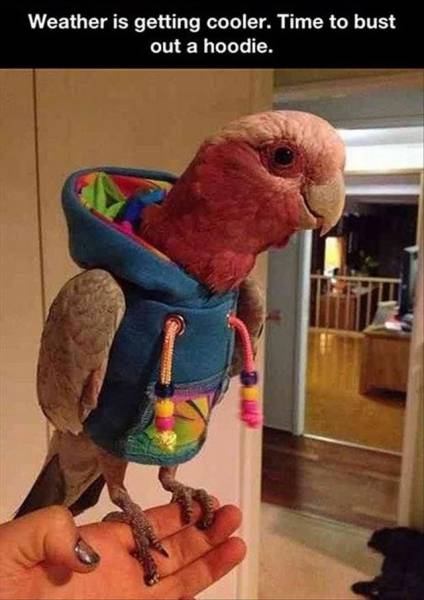 daily picdump 109 pics 12.html - 109 HD Photos | Premium Gallery 2016