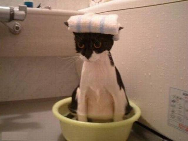 daily picdump 109 pics 12.html - 109 HD Photos | Premium Gallery 2016