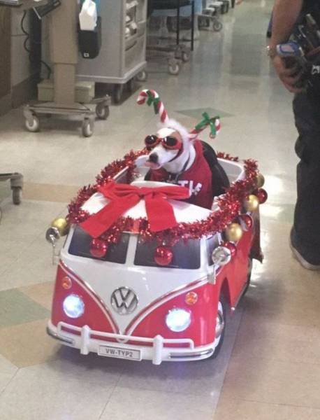 daily picdump 109 pics 12.html - 109 HD Photos | Premium Gallery 2016