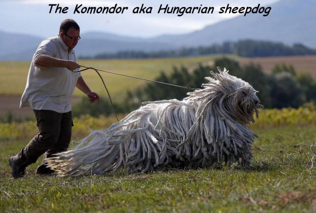 daily picdump 109 pics 12.html - 109 HD Photos | Premium Gallery 2016