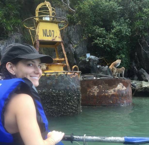 daily picdump 109 pics 12.html - 109 HD Photos | Premium Gallery 2016