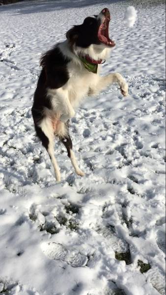 daily picdump 109 pics 12.html - 109 HD Photos | Premium Gallery 2016