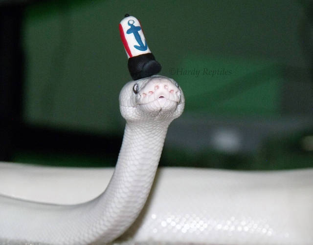 morning picdump 50 pics 13.html - 50 HD Photos | Premium Gallery 2016