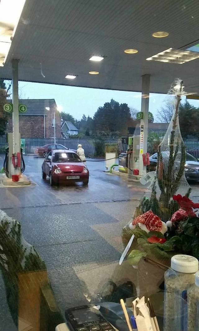 morning picdump 50 pics 13.html - 50 HD Photos | Premium Gallery 2016