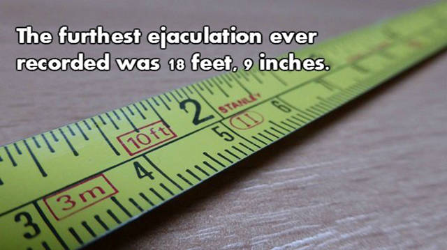 NSFW Facts That Will Blow You Away