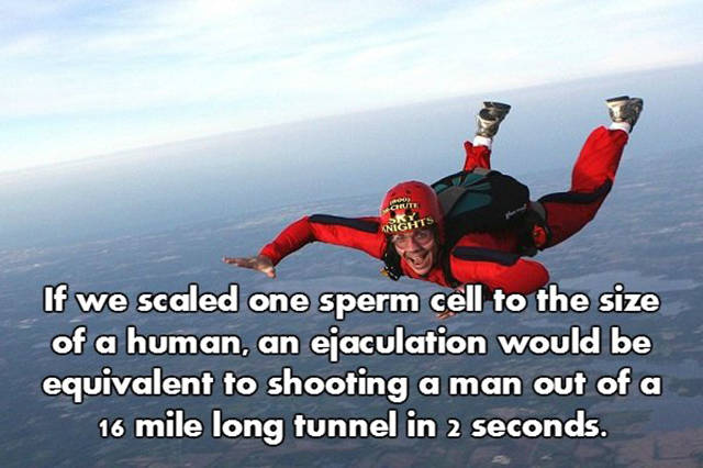 NSFW Facts That Will Blow You Away