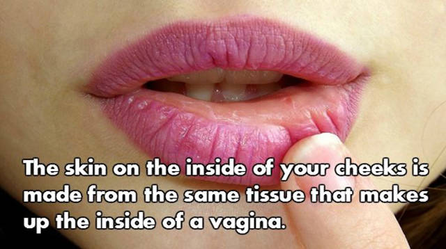 NSFW Facts That Will Blow You Away