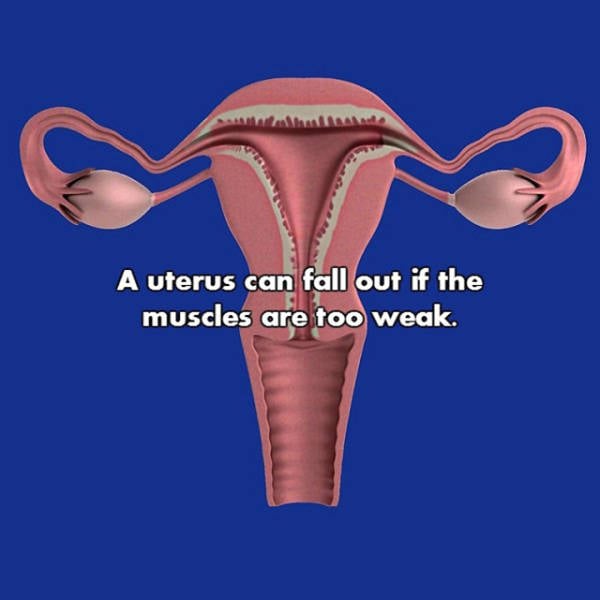 NSFW Facts That Will Blow You Away