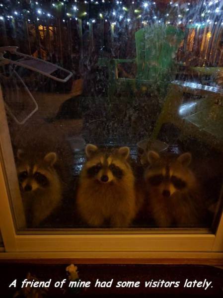 daily picdump 102 pics 34.html - 102 HD Photos | Premium Gallery 2016