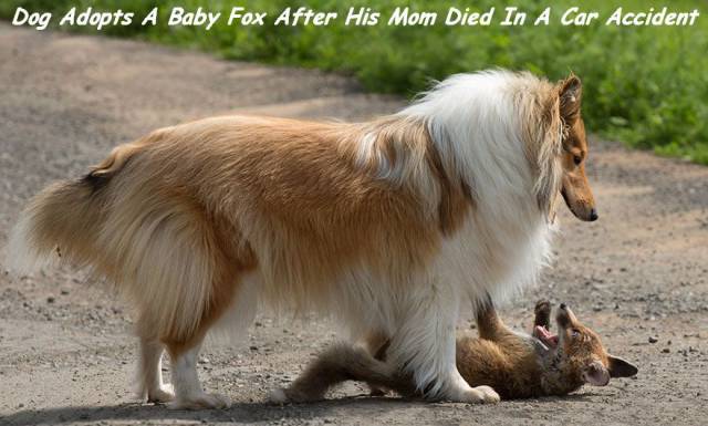 daily picdump 102 pics 34.html - 102 HD Photos | Premium Gallery 2016