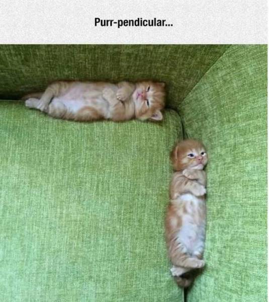 daily picdump 102 pics 34.html - 102 HD Photos | Premium Gallery 2016