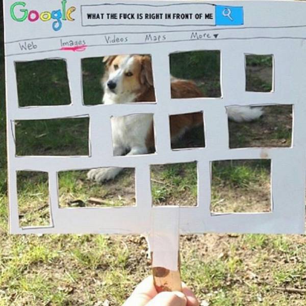 daily picdump 102 pics 34.html - 102 HD Photos | Premium Gallery 2016