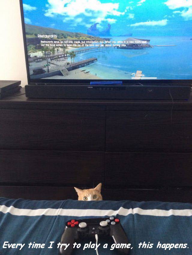 daily picdump 102 pics 34.html - 102 HD Photos | Premium Gallery 2016