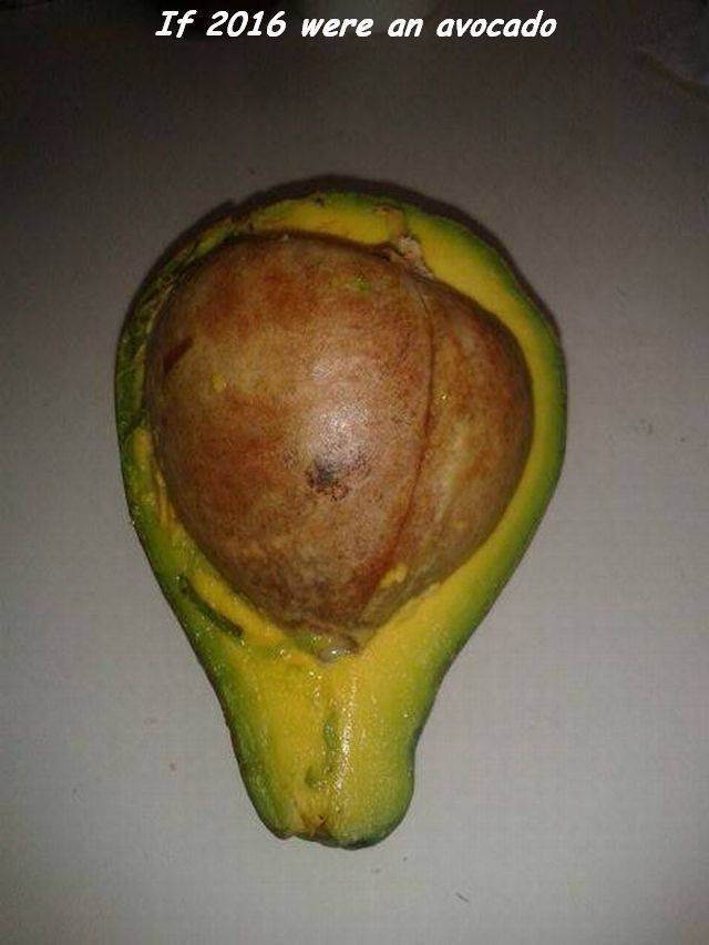 daily picdump 102 pics 34.html - 102 HD Photos | Premium Gallery 2016