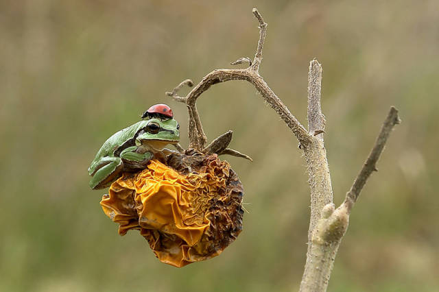 morning picdump 52 pics 6.html - 52 HD Photos | Premium Gallery 2016