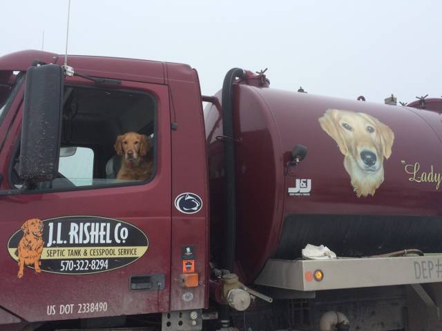 morning picdump 52 pics 6.html - 52 HD Photos | Premium Gallery 2016