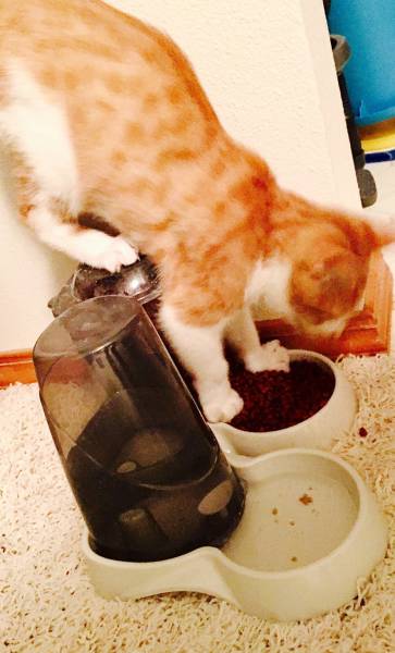 morning picdump 52 pics 6.html - 52 HD Photos | Premium Gallery 2016