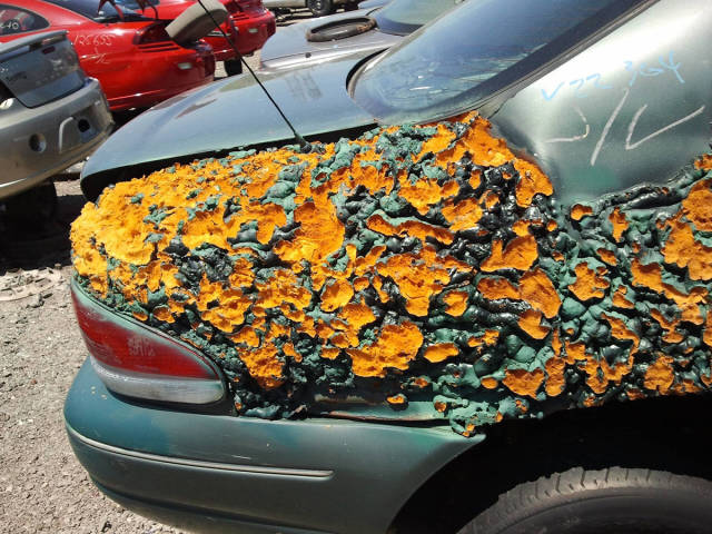 morning picdump 52 pics 6.html - 52 HD Photos | Premium Gallery 2016