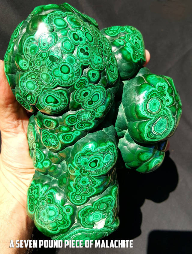 morning picdump 52 pics 6.html - 52 HD Photos | Premium Gallery 2016