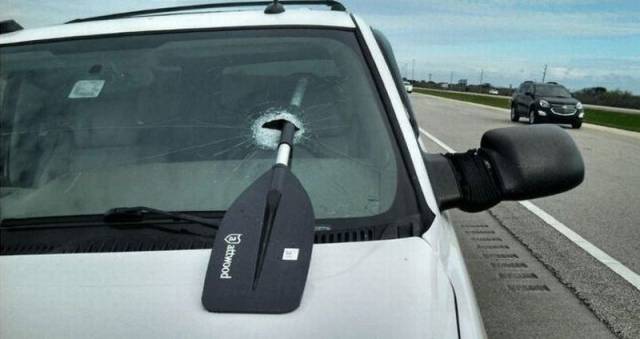 daily picdump 101 pics 51.html - 101 HD Photos | Premium Gallery 2016