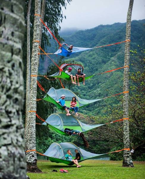 daily picdump 101 pics 51.html - 101 HD Photos | Premium Gallery 2016